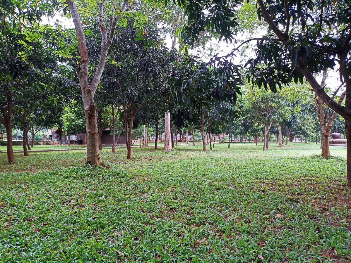 Kaveri Resort Sigiriya Exteriör bild